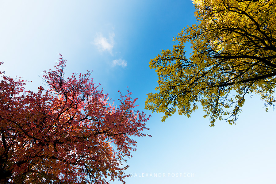 Autumn colours White Carpathians